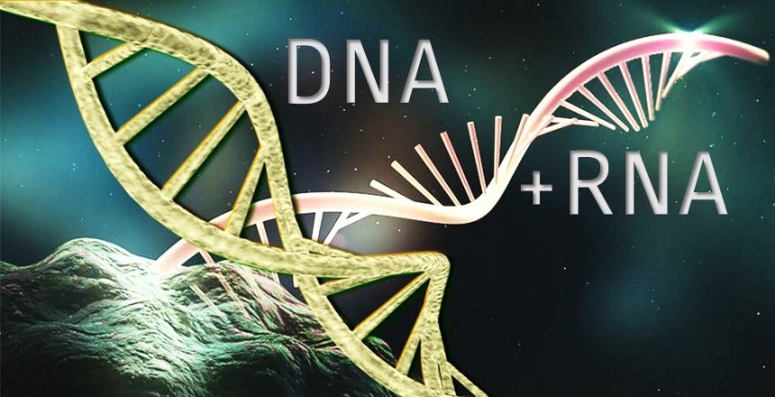 DNA RNA ALL