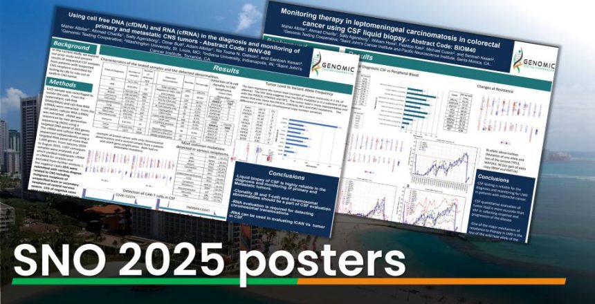 SNO HI 25 posters web